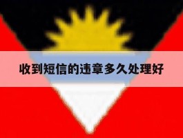 收到短信的违章多久处理好