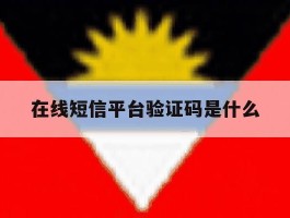 在线短信平台验证码是什么