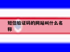 短信验证码的网站叫什么名称