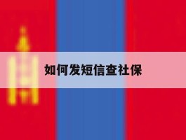 如何发短信查社保