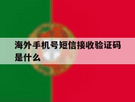 海外手机号短信接收验证码是什么