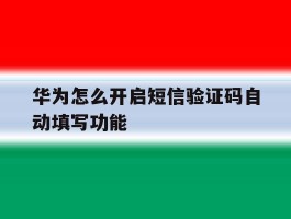 华为怎么开启短信验证码自动填写功能