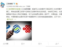 短信查询功能的查询条件包括哪些内容