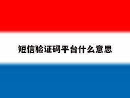 短信验证码平台什么意思