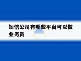 短信公司有哪些平台可以做业务员
