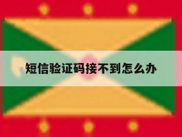 短信验证码接不到怎么办