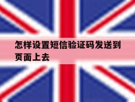 怎样设置短信验证码发送到页面上去