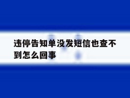 违停告知单没发短信也查不到怎么回事