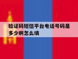 验证码短信平台电话号码是多少啊怎么填