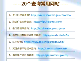 免费短信接码网站是什么