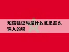 短信验证码是什么意思怎么输入的呀