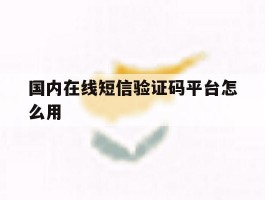 国内在线短信验证码平台怎么用