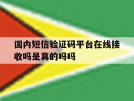 国内短信验证码平台在线接收吗是真的吗吗的简单介绍