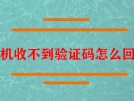 美国短信验证码怎么输入不了