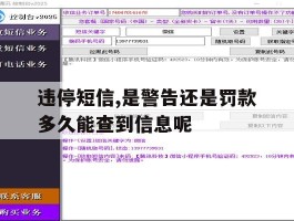 违停短信,是警告还是罚款多久能查到信息呢的简单介绍