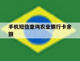 手机短信查询农业银行卡余额