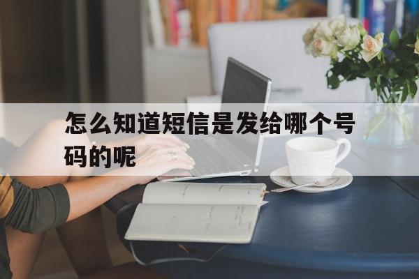 怎么知道短信是发给哪个号码的呢 怎么知道短信是发给哪个号码的呢