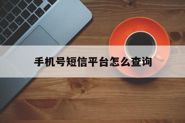 手机号短信平台怎么查询 手机号短信平台怎么查询