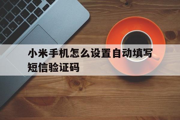 包含小米手机怎么设置自动填写短信验证码的词条 包含小米手机怎么设置自动填写短信验证码的词条