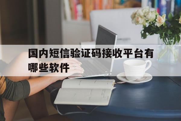 国内短信验证码接收平台有哪些软件 国内短信验证码接收平台有哪些软件