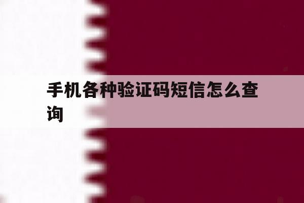 手机各种验证码短信怎么查询 手机各种验证码短信怎么查询