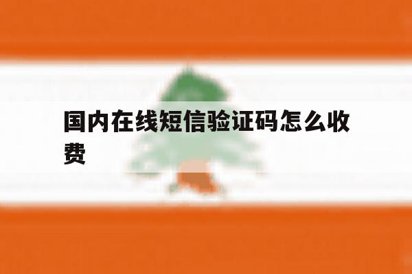 国内在线短信验证码怎么收费 国内在线短信验证码怎么收费