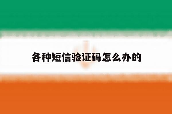 各种短信验证码怎么办的 各种短信验证码怎么办的