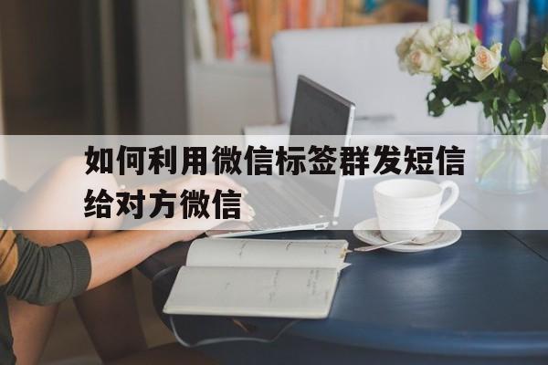 如何利用微信标签群发短信给对方微信 如何利用微信标签群发短信给对方微信