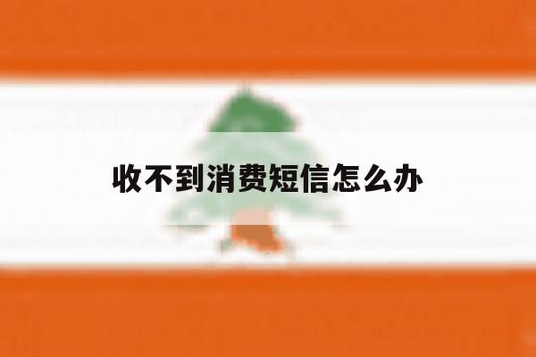 收不到消费短信怎么办 收不到消费短信怎么办