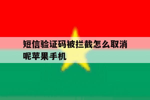 短信验证码被拦截怎么取消呢苹果手机 短信验证码被拦截怎么取消呢苹果手机