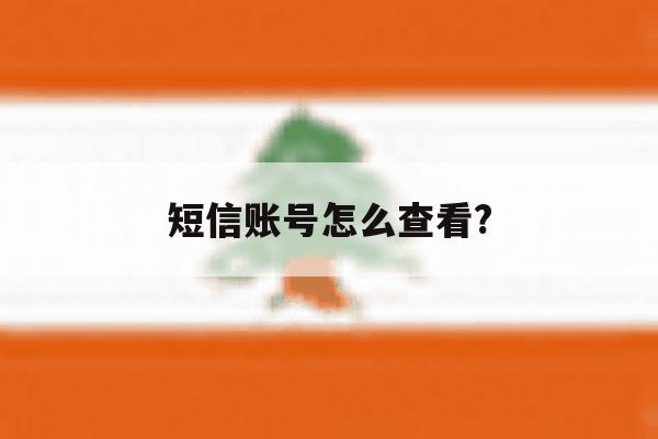 短信账号怎么查看? 短信账号怎么查看?