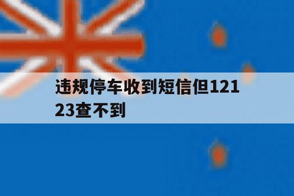 违规停车收到短信但12123查不到 违规停车收到短信但12123查不到