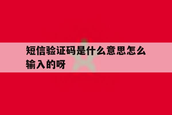 短信验证码是什么意思怎么输入的呀 短信验证码是什么意思怎么输入的呀