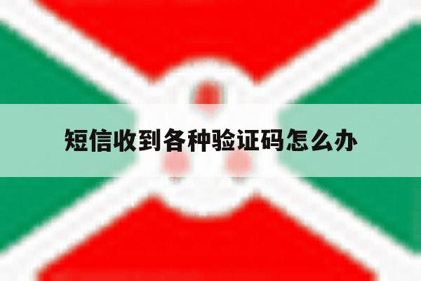 短信收到各种验证码怎么办 短信收到各种验证码怎么办