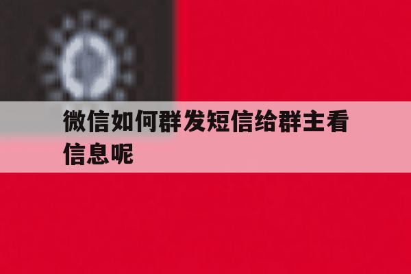 微信如何群发短信给群主看信息呢 微信如何群发短信给群主看信息呢
