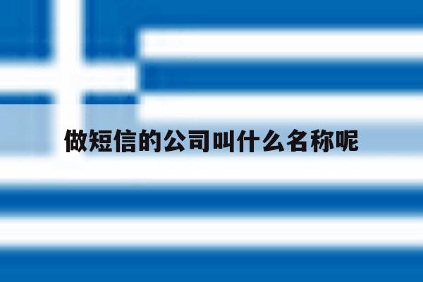 做短信的公司叫什么名称呢 做短信的公司叫什么名称呢