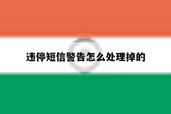 违停短信警告怎么处理掉的 违停短信警告怎么处理掉的