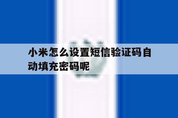 小米怎么设置短信验证码自动填充密码呢的简单介绍 小米怎么设置短信验证码自动填充密码呢的简单介绍
