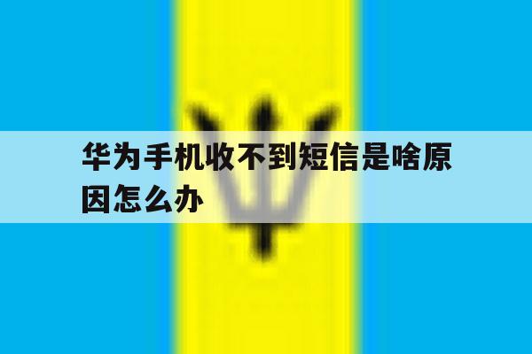 华为手机收不到短信是啥原因怎么办 华为手机收不到短信是啥原因怎么办