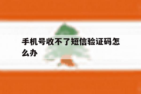 手机号收不了短信验证码怎么办 手机号收不了短信验证码怎么办