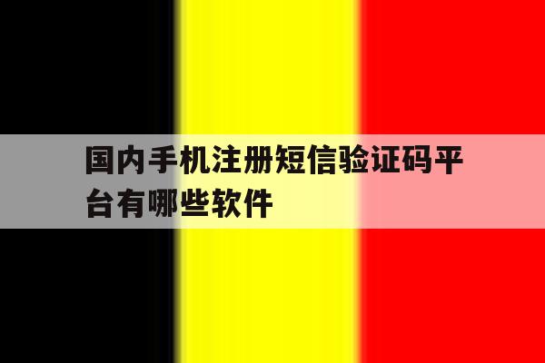国内手机注册短信验证码平台有哪些软件 国内手机注册短信验证码平台有哪些软件