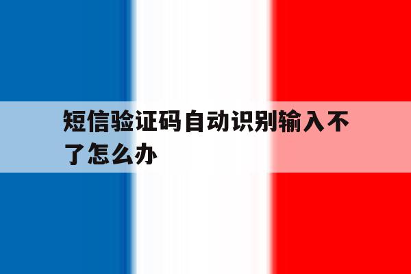 短信验证码自动识别输入不了怎么办 短信验证码自动识别输入不了怎么办