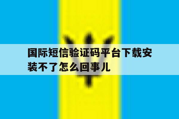 国际短信验证码平台下载安装不了怎么回事儿的简单介绍 国际短信验证码平台下载安装不了怎么回事儿的简单介绍