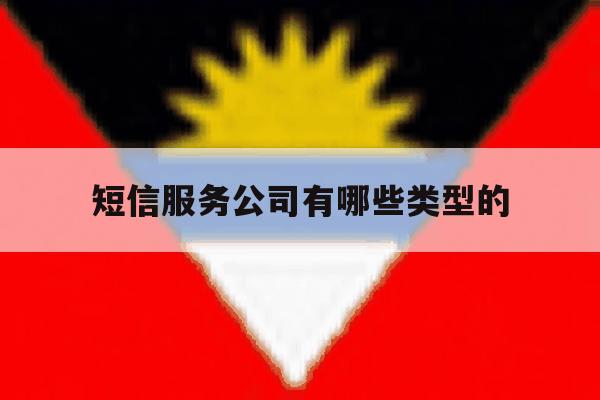 短信服务公司有哪些类型的 短信服务公司有哪些类型的