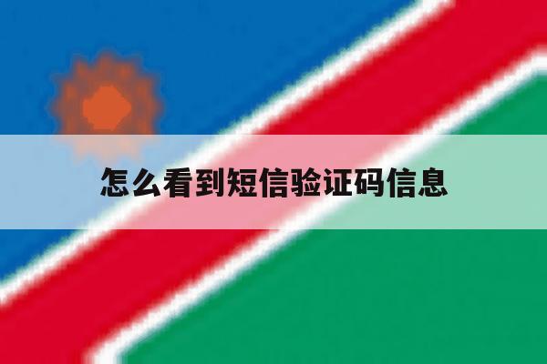 怎么看到短信验证码信息 怎么看到短信验证码信息