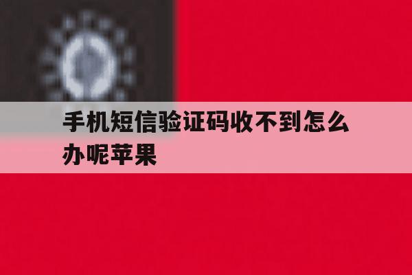 手机短信验证码收不到怎么办呢苹果 手机短信验证码收不到怎么办呢苹果