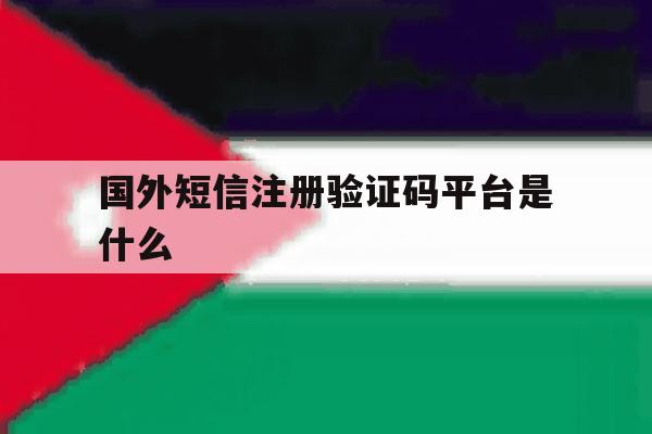 国外短信注册验证码平台是什么 国外短信注册验证码平台是什么