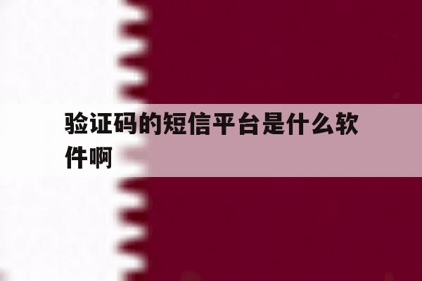 验证码的短信平台是什么软件啊 验证码的短信平台是什么软件啊