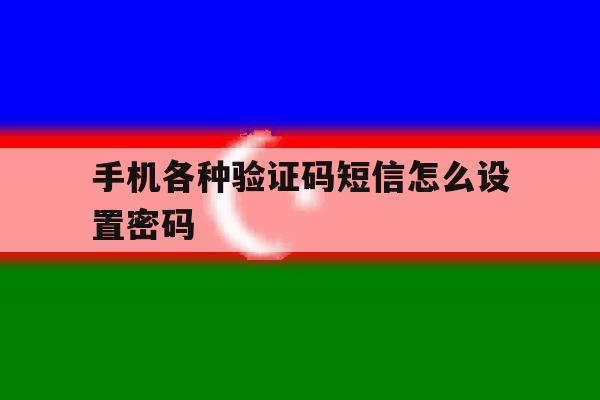 手机各种验证码短信怎么设置密码 手机各种验证码短信怎么设置密码