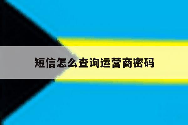 短信怎么查询运营商密码 短信怎么查询运营商密码